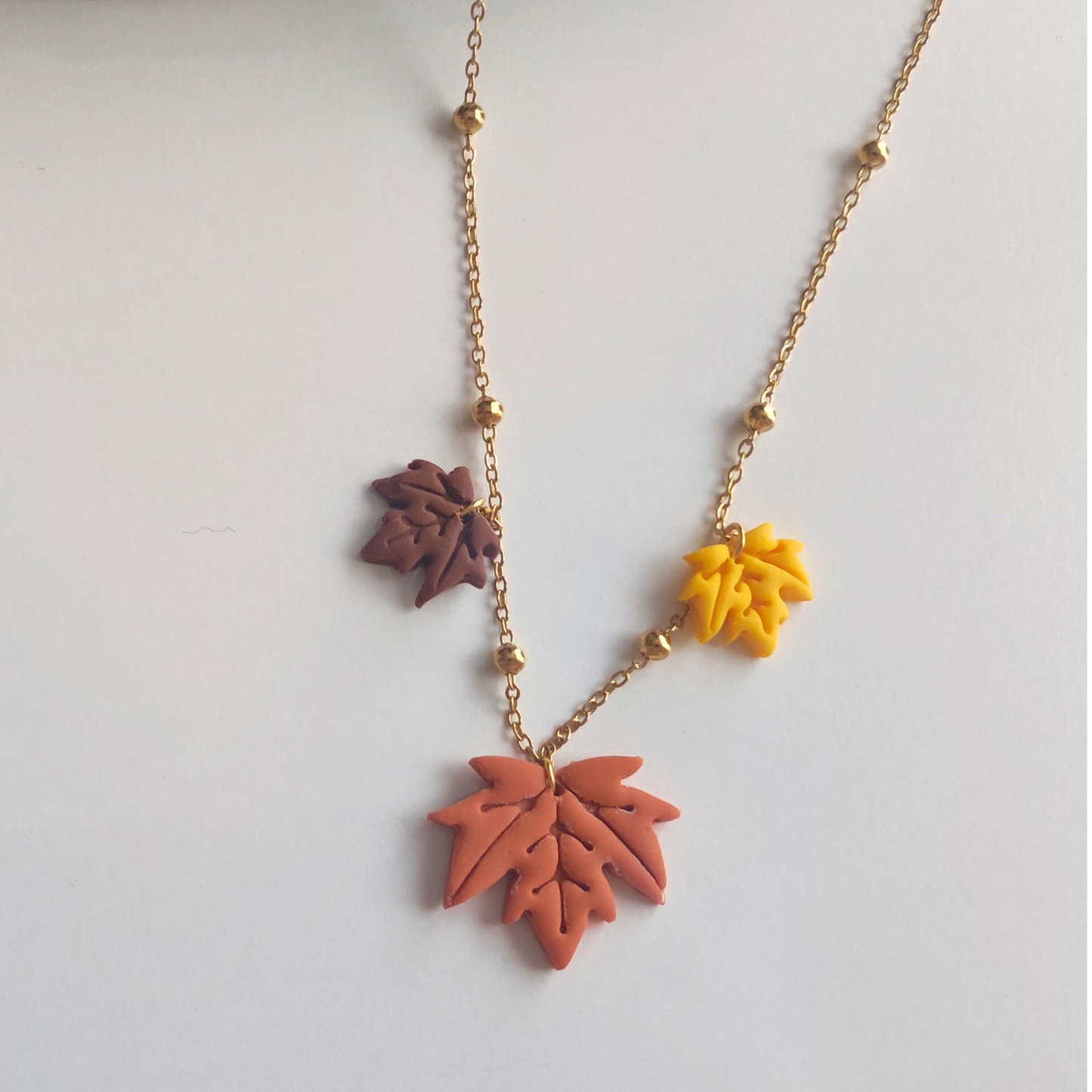 COLLAR MAPLE